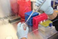 gallery/medical research